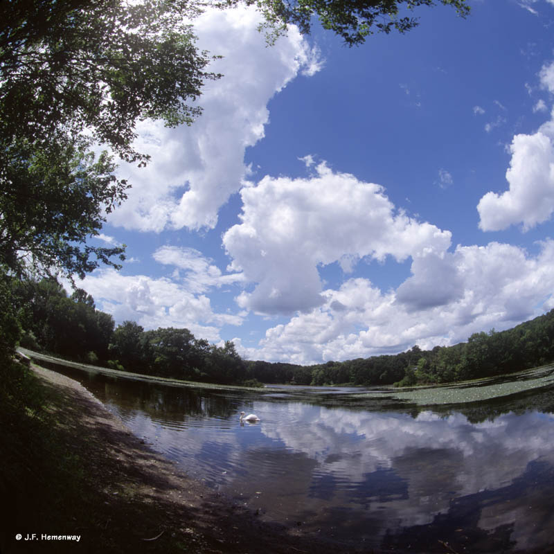 SwanCloudsFisheye