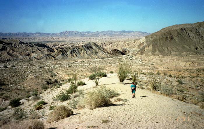 MattAnzaBorrego