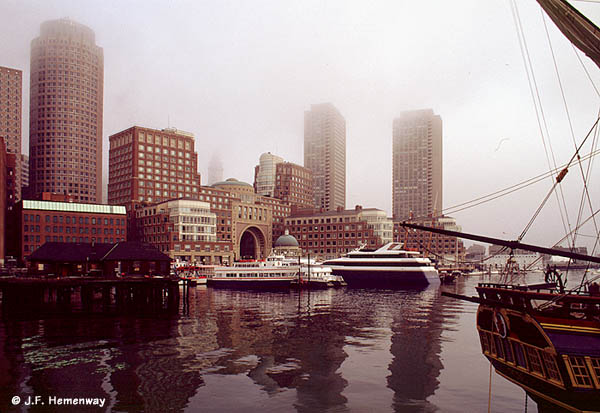 Foggy Waterfront